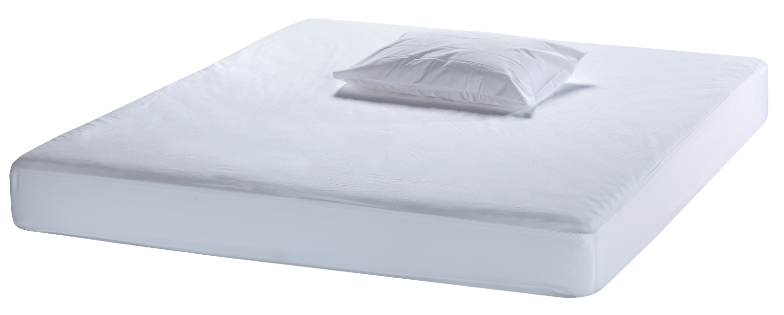 DAGGKAPA KAITSELINAD